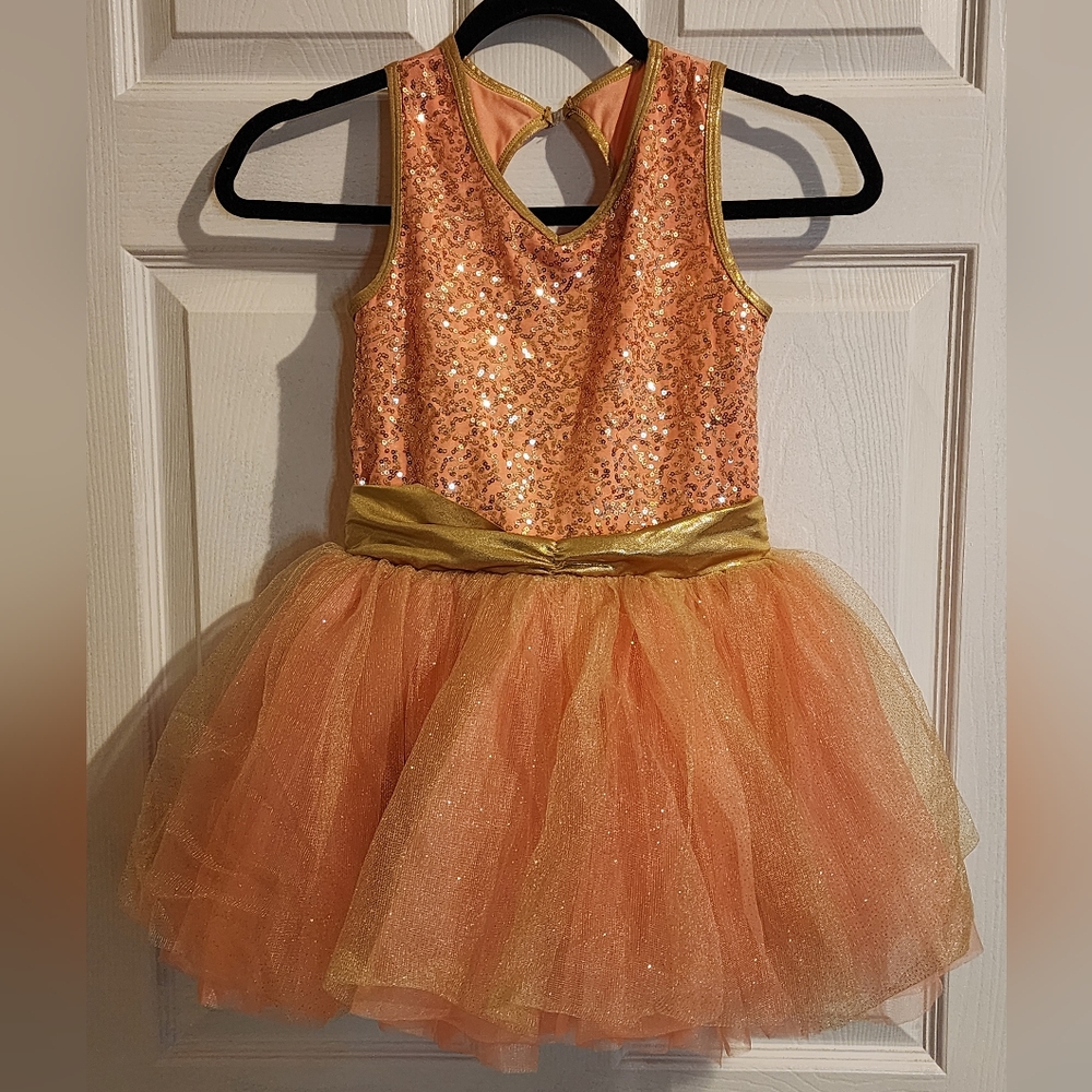 Gracie girls sequined ruffle costume dress